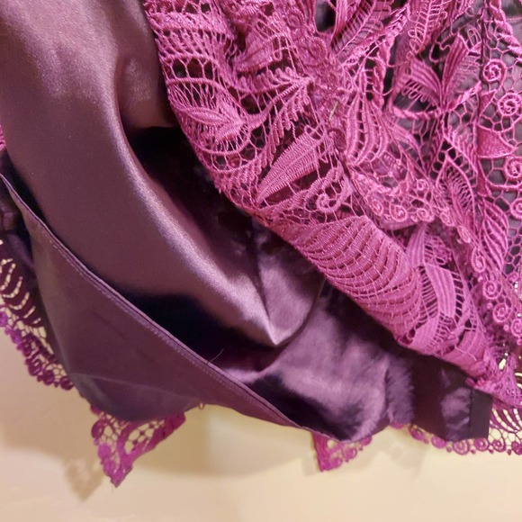 JS Collections Embroidered Lace Midi Dress - Picture 9 of 13